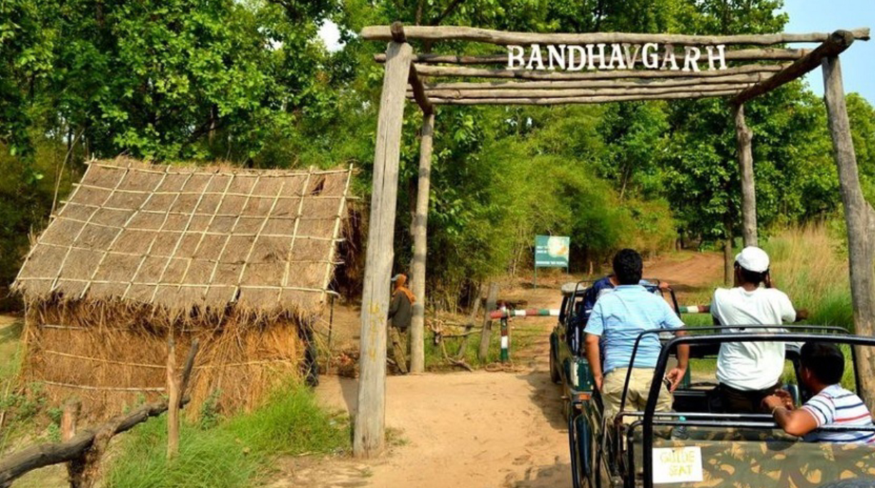Bandhavgarh