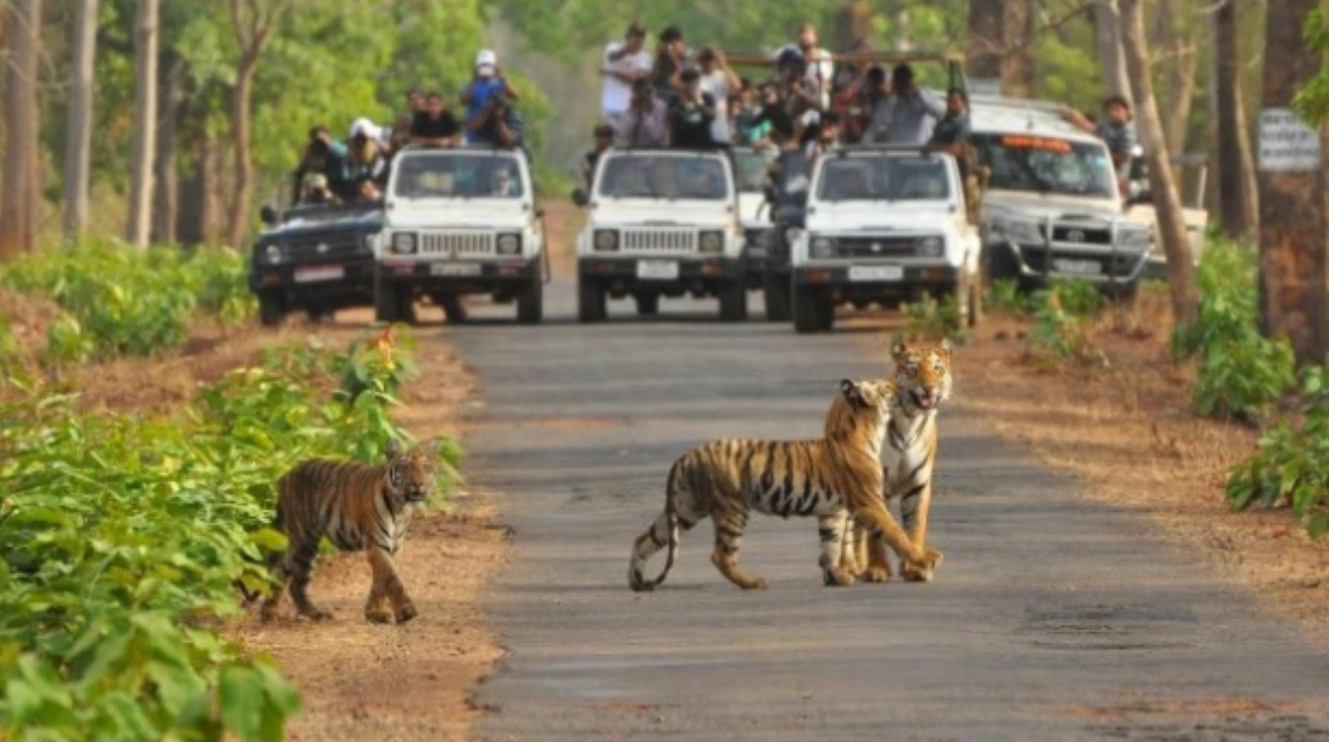 kanha