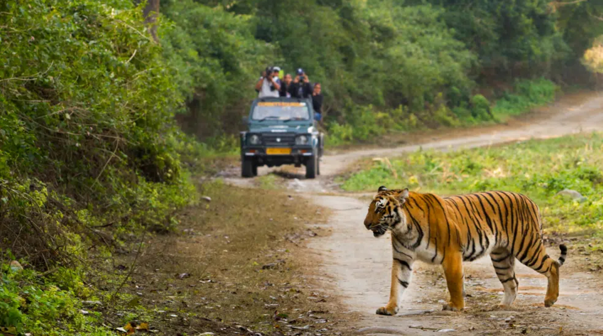 Jim Corbett