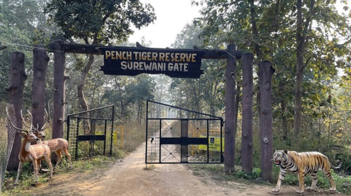 Pench