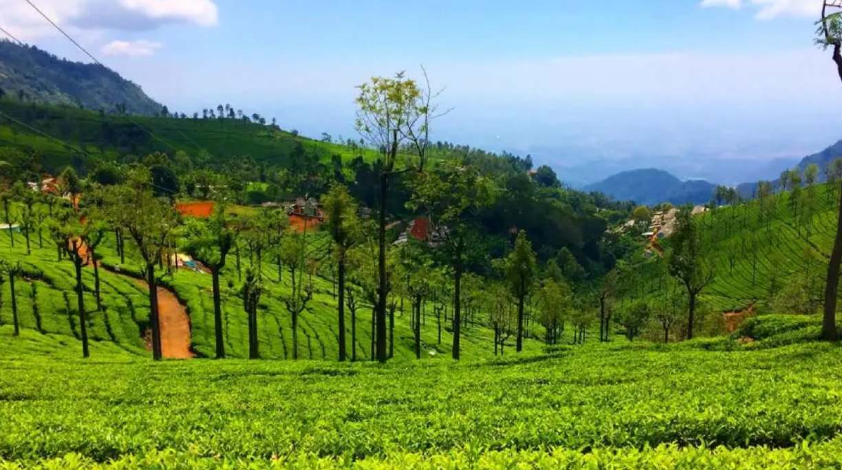 banglore Mysore Ooty Tour
