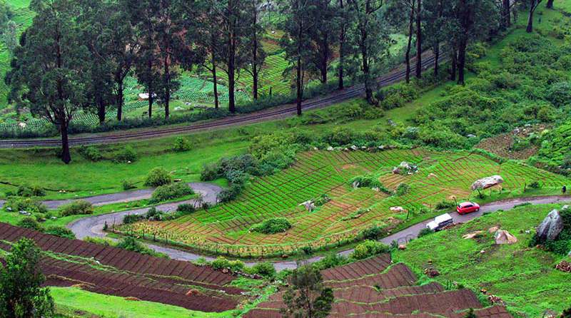 banglore Mysore Coorg Tour