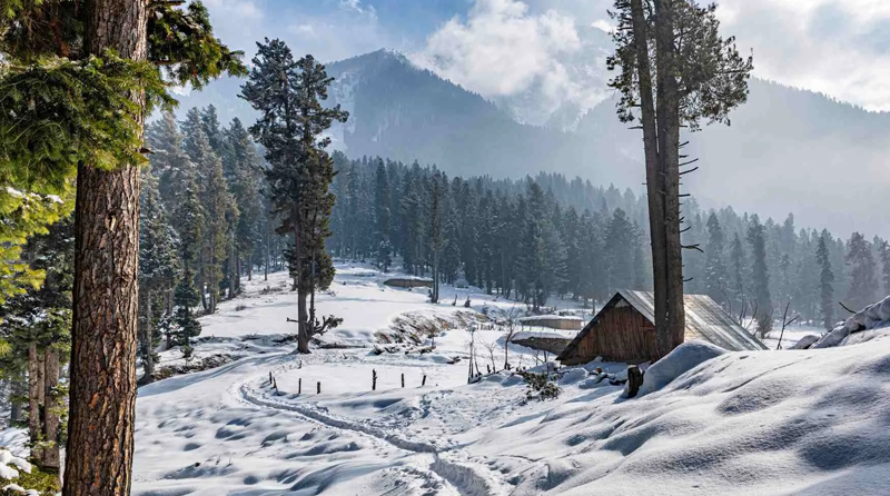 Kashmir Tour